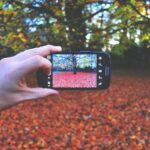 hand-light-camera-photography-leaf-photo-100421-pxhere.com-min