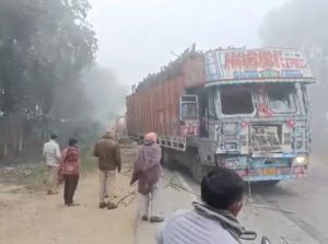 WhatsApp Image 2026-02-03 at 3.47.42 PM