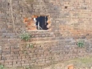 WhatsApp Image 2026-02-10 at 4.06.55 PM