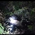 WhatsApp Image 2026-02-10 at 9.14.22 PM