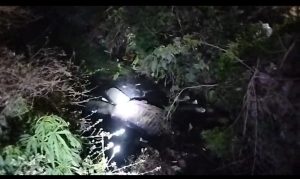 WhatsApp Image 2026-02-10 at 9.14.22 PM